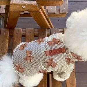 Cute Teddy Bear Dog Jacket & Hat Set